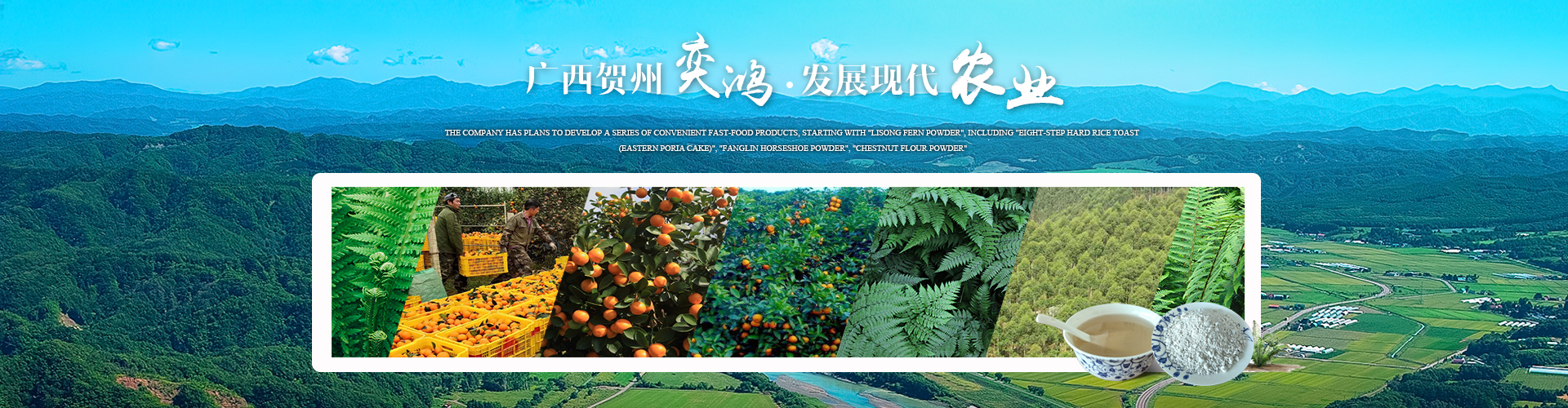 廣西賀州市奕鴻農(nóng)業(yè)開發(fā)有限責任公司